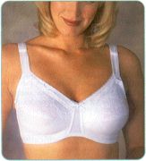 Medela Nursing Bra.jpg (7152 bytes)